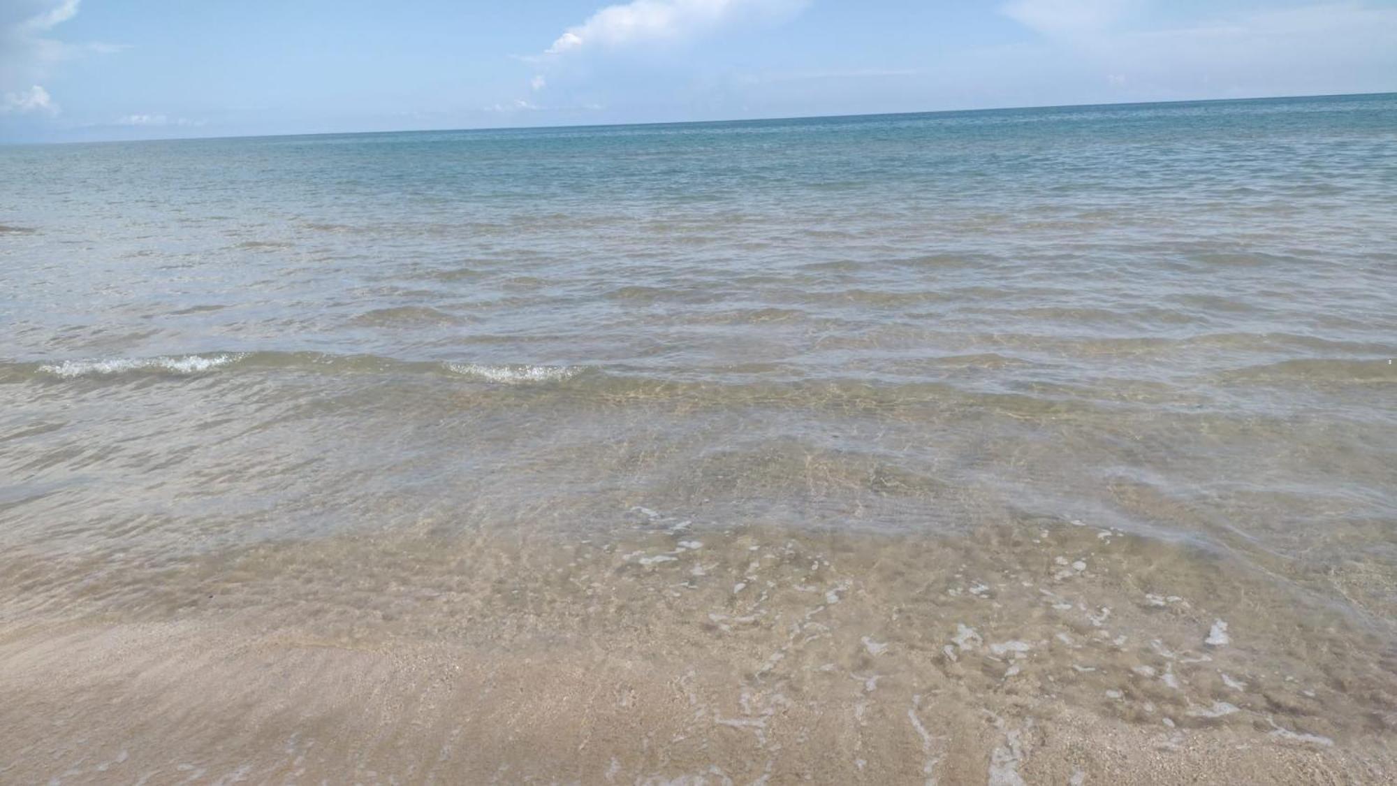Le Rondini Trani