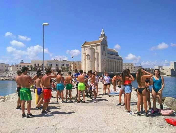Le Rondini *